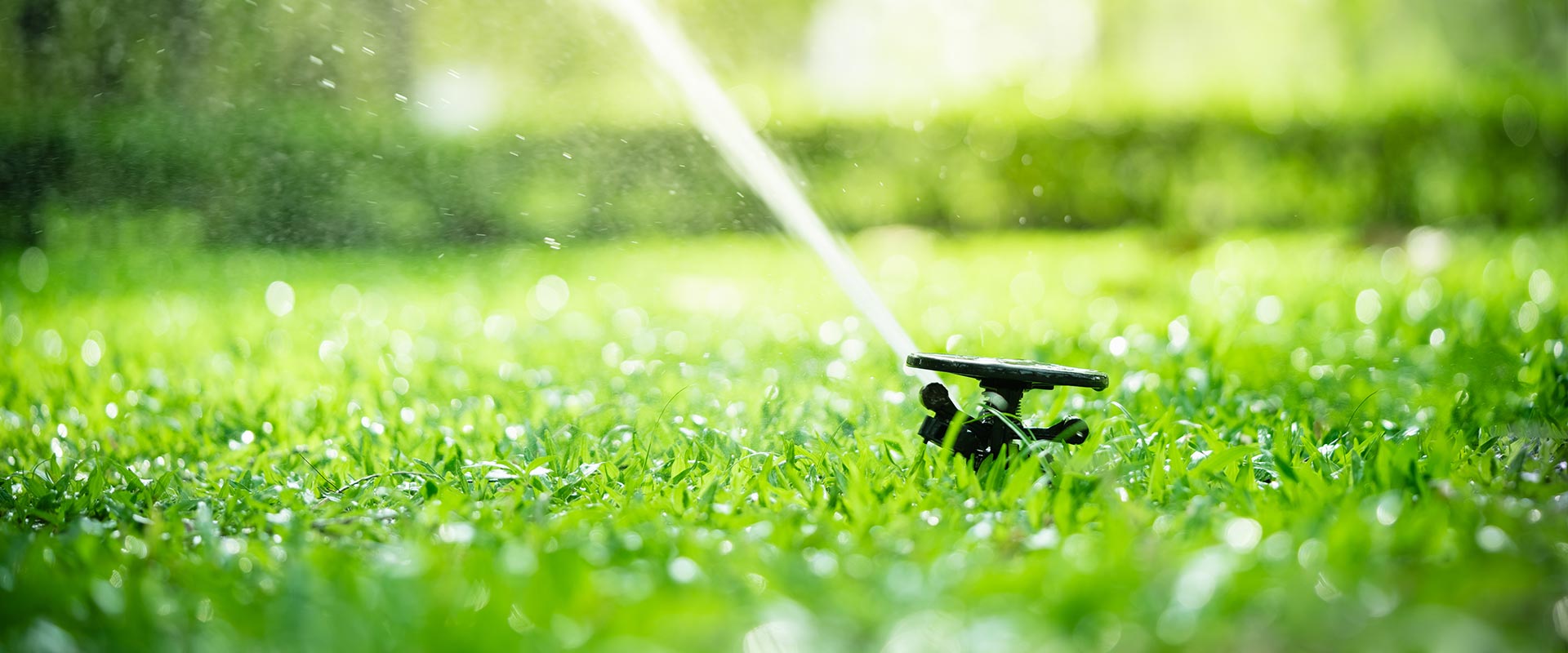 Beregening Tuin Laten Aanleggen Roelofsen Groen